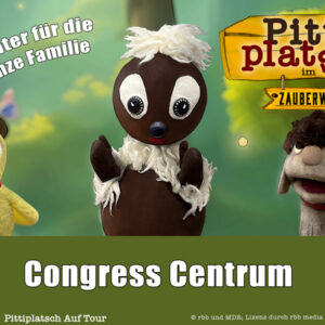 Pittiplatsch